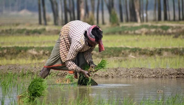 Sarkari Yojna: किसानों के लिए फायदेमंद सरकारी योजनाएं, हर सीजन में आर्थिक सुरक्षा और लाभ